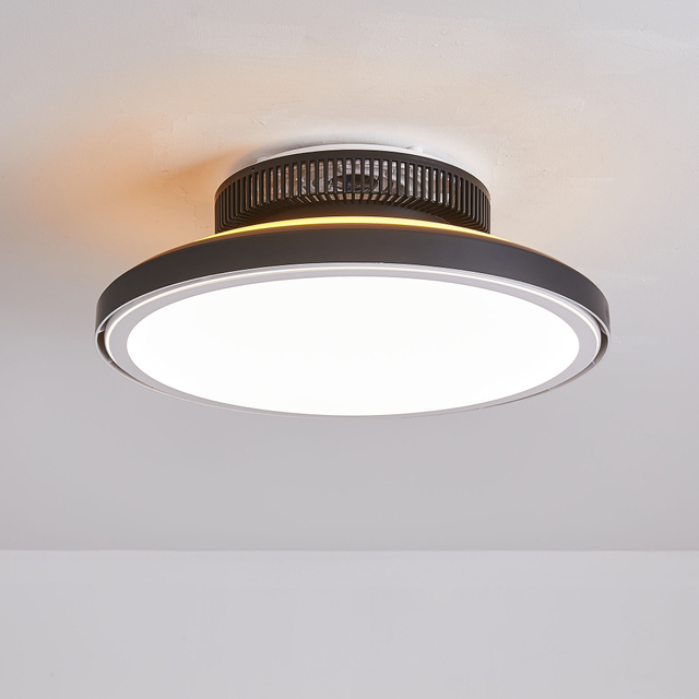 Ceiling Fan with LED Light,Ultra-Thin Ceiling Fans with Lamps,Remote Control Dimmable,Adjustable Wind 3-Speed,Low Noise Fan Lighting AP8036-S2