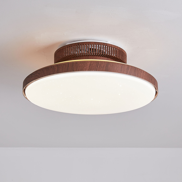 Ceiling Fan with LED Light,Ultra-Thin Ceiling Fans with Lamps,Remote Control Dimmable,Adjustable Wind 3-Speed,Low Noise Fan Lighting AP8036-S3