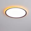The inner and outer ring of the ceiling lamp uses LED lamp beads as the light sourceAP8019-3