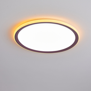 The inner and outer ring of the ceiling lamp uses LED lamp beads as the light sourceAP8019-3