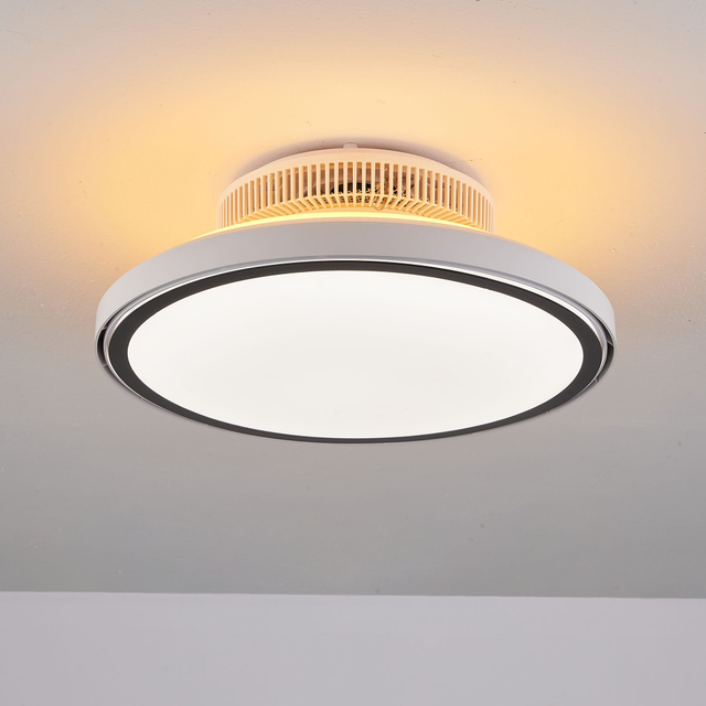 Ceiling Fan with LED Light,Ultra-Thin Ceiling Fans with Lamps,Remote Control Dimmable,Adjustable Wind 3-Speed,Low Noise Fan Lighting AP8036-S9
