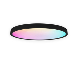 Ceiling light RGBCW full color dimming color Smart Graffiti APP Bluetooth Voice ceiling light black