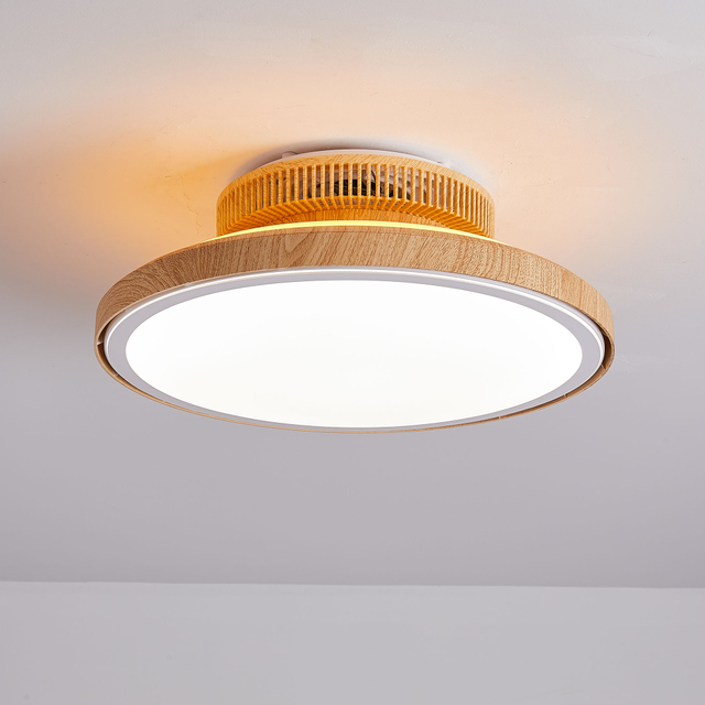 Ceiling Fan with LED Light,Ultra-Thin Ceiling Fans with Lamps,Remote Control Dimmable,Adjustable Wind 3-Speed,Low Noise Fan Lighting AP8036-S6