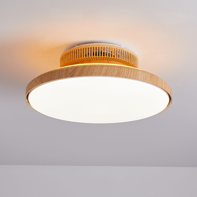 Ceiling Fan with LED Light,Ultra-Thin Ceiling Fans with Lamps,Remote Control Dimmable,Adjustable Wind 3-Speed,Low Noise Fan Lighting AP8036-S8